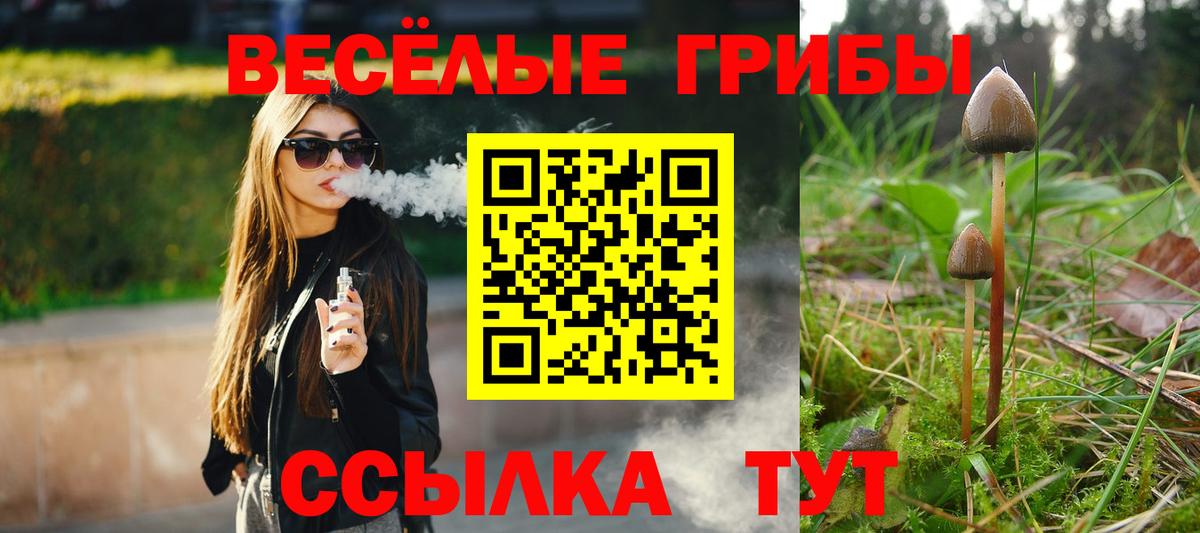 Знаменск  Псилоцибиновые грибы GOLDEN TEACHER  Вход с VPN 