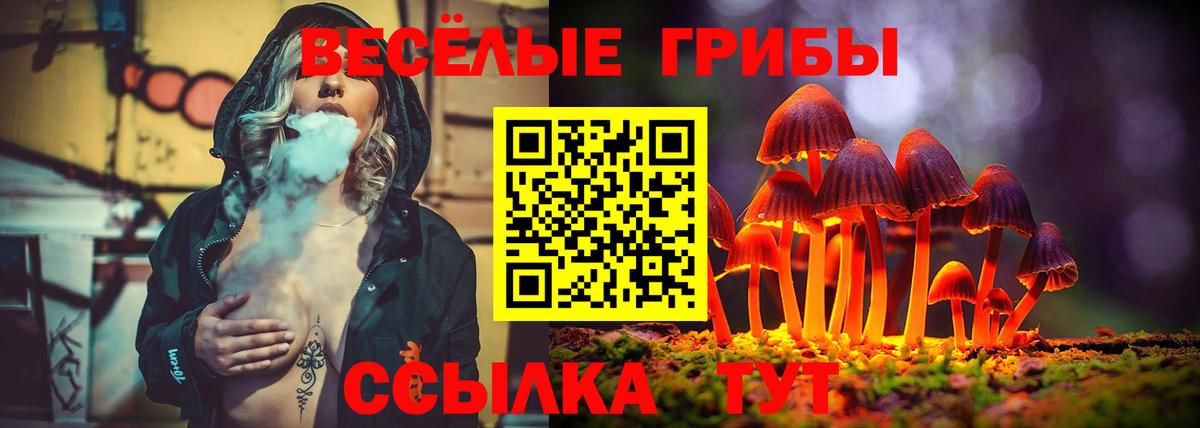 Галлюциногенные грибы прущие грибы Знаменск
